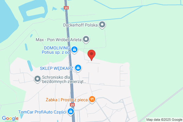 Bank Zywnosci w Koninie