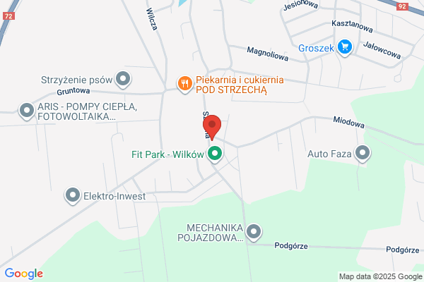 Waszkowiak Wiktor. Doradztwo gospodarcze