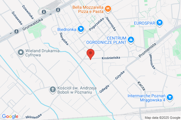 Meduza. Agencja ochrony osób i mienia