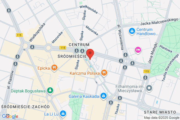 Czyszczenie dywanów i tapicerki samochodowej