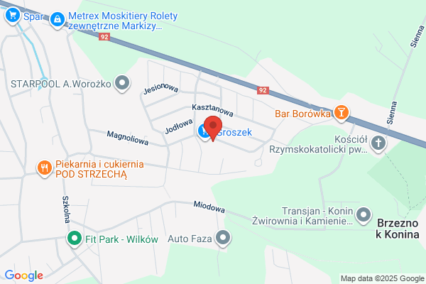 Gozdzik E. Dom noclegowy