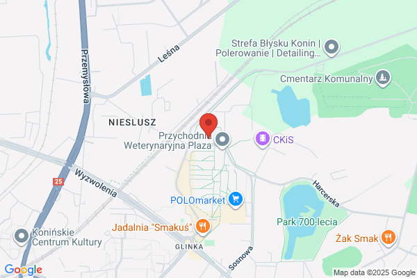 Mlodzinska Elzbieta. Biuro obslugi ksiegowej