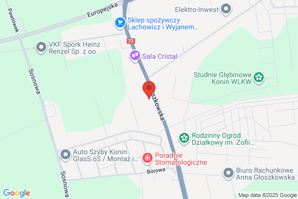 Trans-Gaj. Usuwanie drzew, krzewów i pni