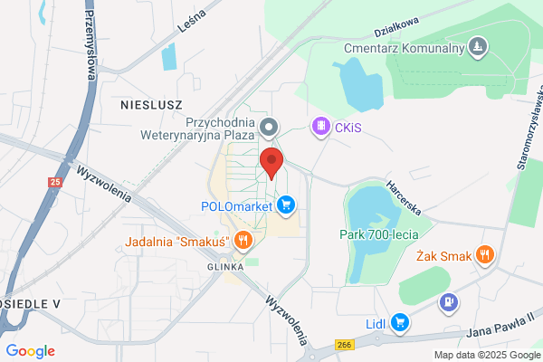 Szalapski Adrian. Tlumacz przysiegly jez. niemieckiego