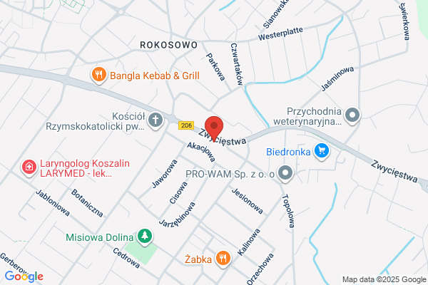 Arnika. Kwiaciarnia