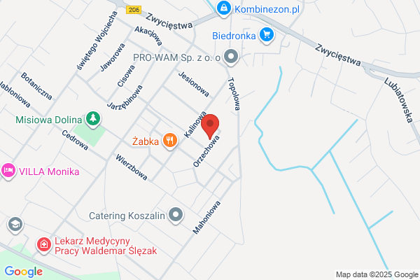 Golawski Adam. Nauka jazdy