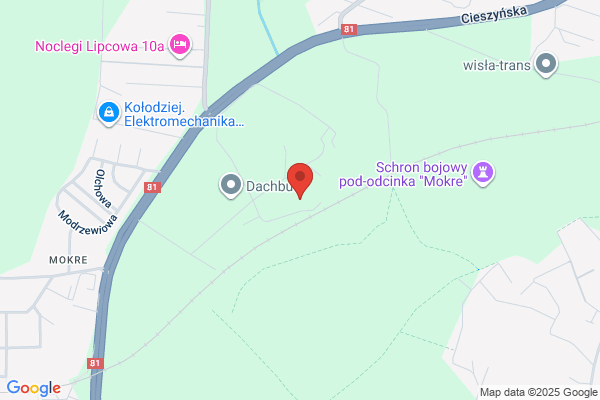 Polgum. Wulkanizacja, opony, felgi