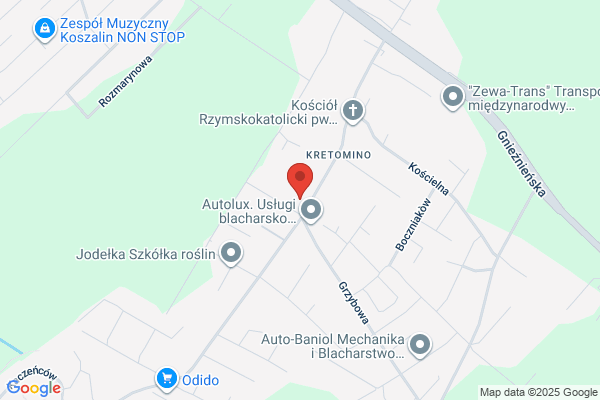 Auto-Diesel. Uklady wtryskowe diesel. Silniki, glowice. Borun R.