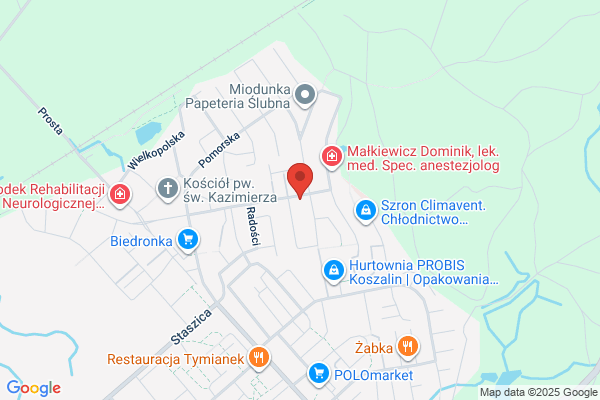 Bieniek Zygmunt. Uslugi transportowe