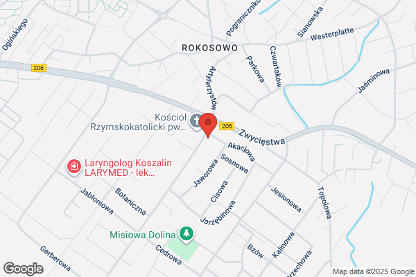 Medyk. Niepubliczny Zaklad Opieki Zdrowotnej
