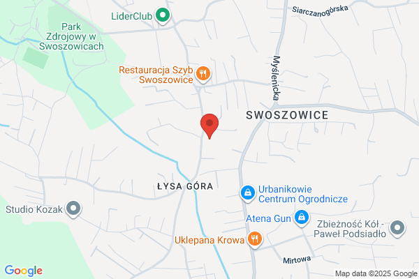 Gorycki & Sznyterman. Firma producencka