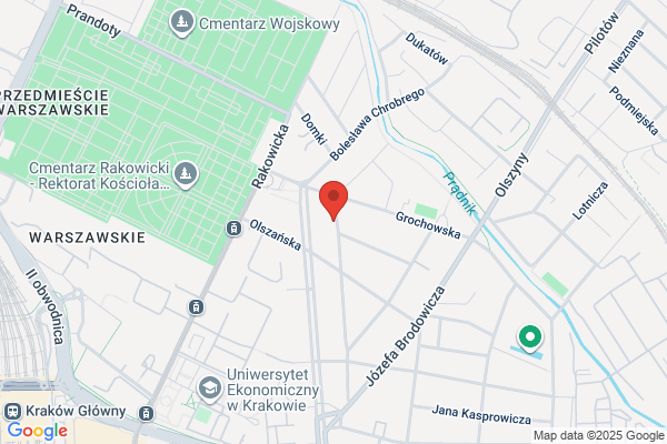 Analityka. Pracownia analityczna. Punzet P., mgr