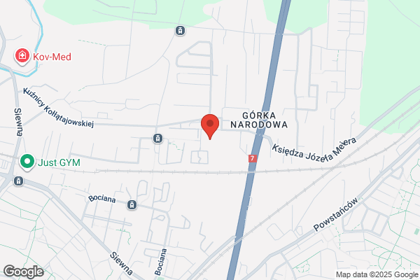 Swituszak Maria. Uslugi analityczne