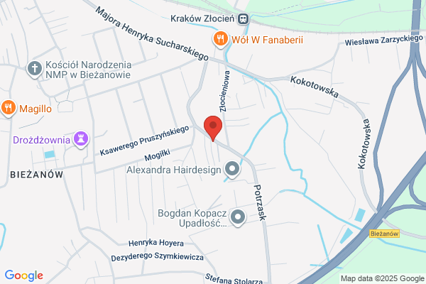 Awizo. Sp. z o.o. Miedzynarodowe przewozy turystyczne