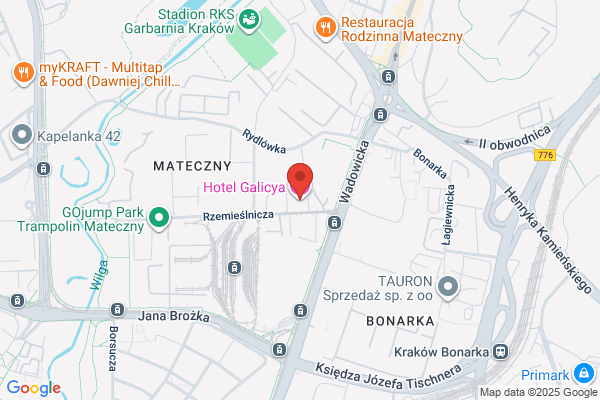 Galicja. Grzybowski A.