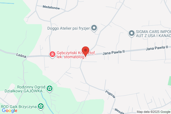 Gosiewski. Bramy, ogrodzenia, kraty