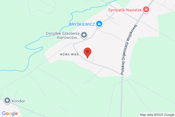 Alter. Firma remontowo - budowlano - konserwatorska. T. Ninkovic, mgr inz. arch., A. Romanska