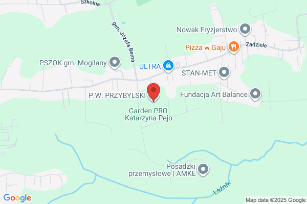 R.A.-System. Przybylska A.