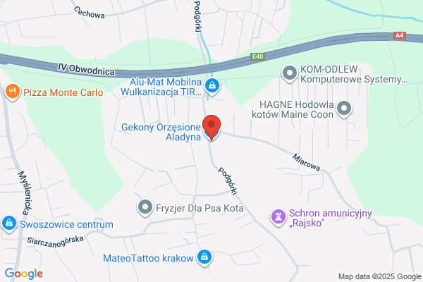 Gekon. FPHU. Rezner M.