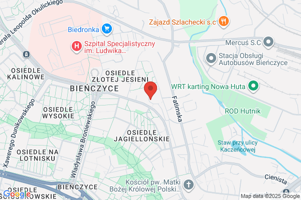 Kowalik Tomasz. Energetyka