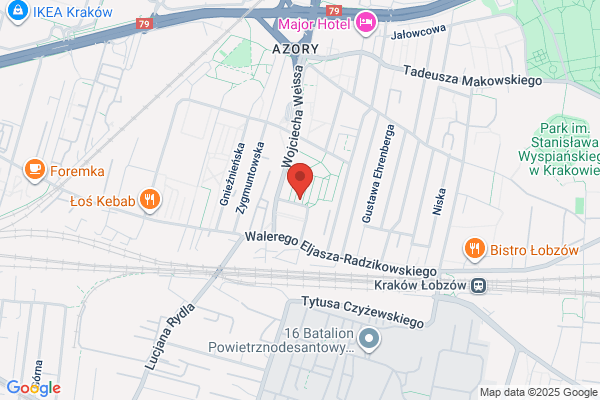 Elbit. Uslugi galwaniczne