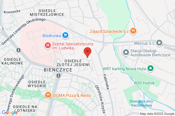 Pro-Service. Sp. z o.o. Detektory i systemy monitoringu gazów