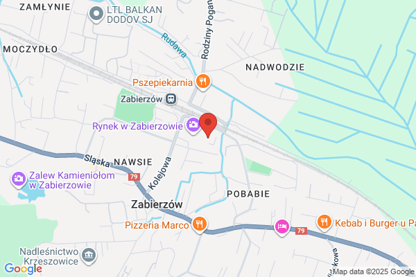 Zarzadzanie i Projekty. Uslugi geodezyjne