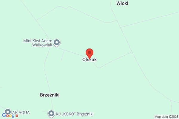 Olszak. Olszak K.