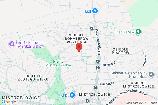 Mucha Bogdan. Naprawa pieców gazowych