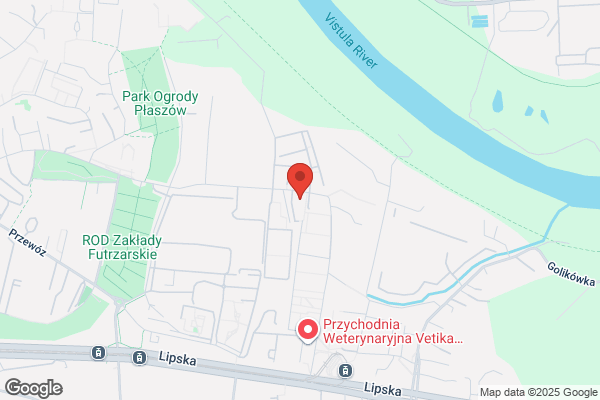 Szkola Prymusów. Sp. z o.o. Kursy jez. angielskiego dla dzieci i mlodziezy