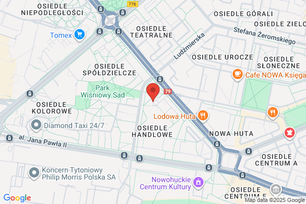 Wiech. Pracownia zlotnicza. Ziólkowski W.