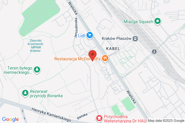 Balicki Pawel. Zaklad uslug kominiarskich