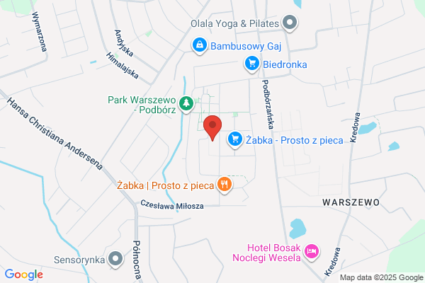 Wogus. Doradztwo, consulting. Krzywicka J.