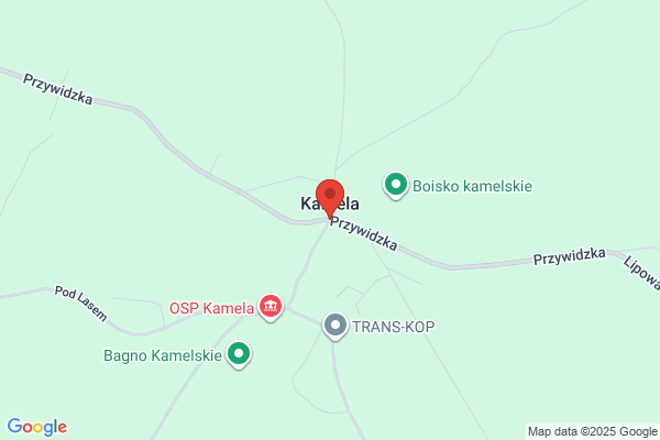Kamela. PPHU