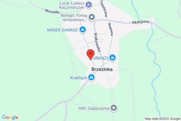 Benia. FHU. Kwiaty. Kaczmarczyk B.