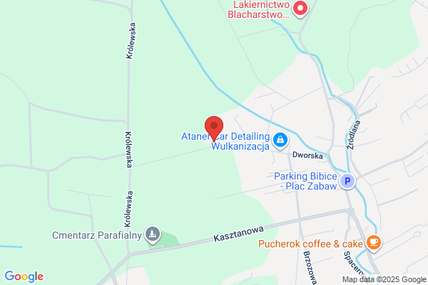 Kesek Franciszek. Kwiaty balkonowe, iglaki