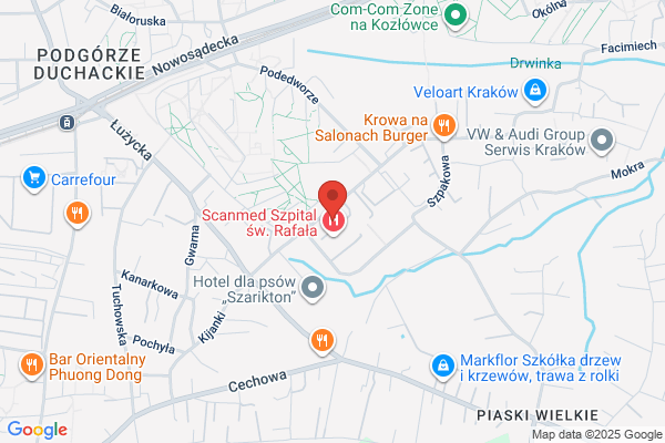 Elbamed. Sp. z o.o. Uslugi stomatologiczne