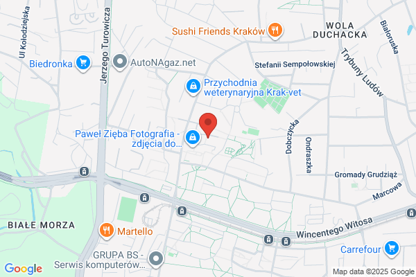 Dziedzic Maria. Pracownia radiestezji