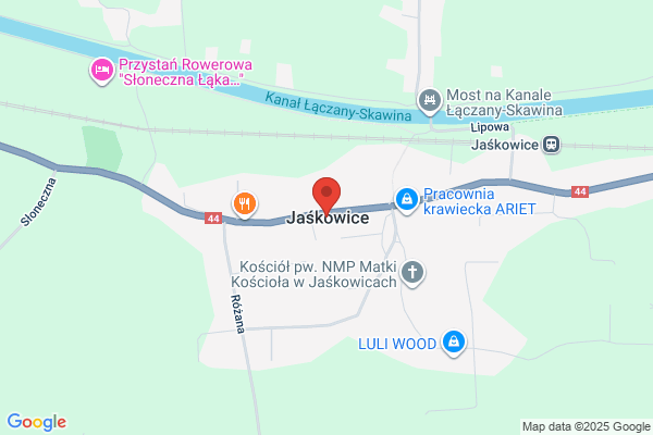 Timex. Eksport mrozonych warzyw i owoców. Gdula-Argasinski M.