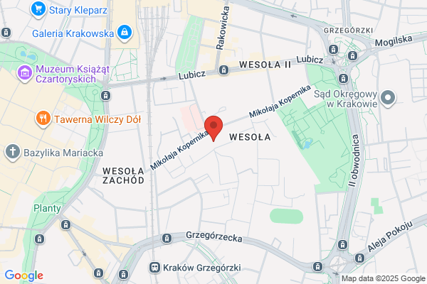 Capella Cracoviensis. Instytucja muzyczna