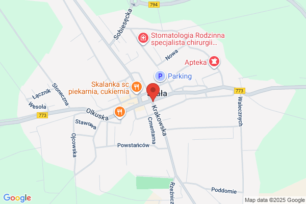 Wójcik Pawel. Firma optyczna