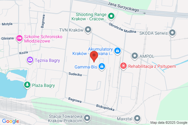 Borgis. Zaklad poligraficzno - papierniczy
