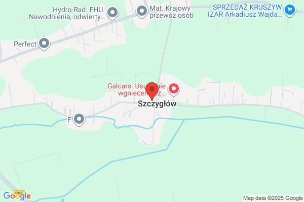 Kaligraf. Zaklad poligraficzny. Dolinski J., Lesniak W.