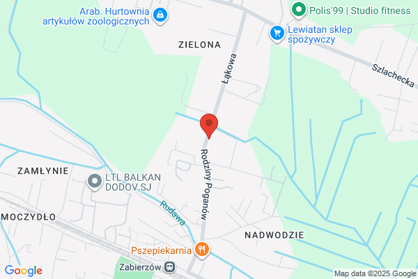 Pralzag. Pralnia wodna