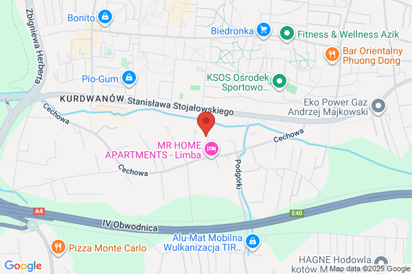 Sajdent. Pracownia protetyki dentystycznej. Sajdak M.