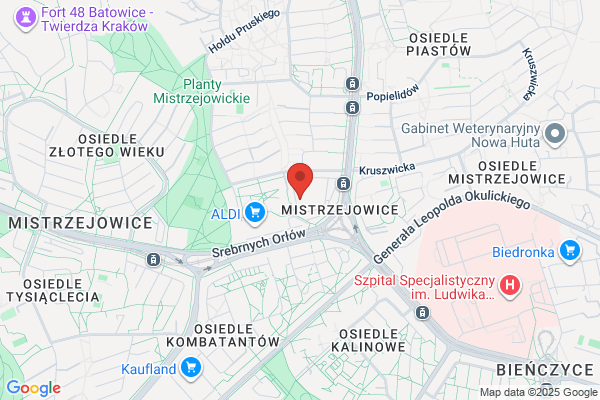 Vident. Laboratorium dentystyczne. Marcin Slowiak