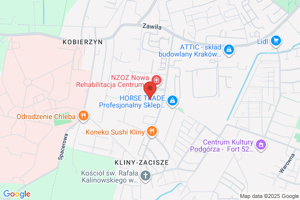 Alagos. Biuro rachunkowe. Koniuszewska K.