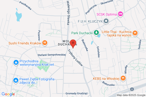 Auto-Centrum. Stacja kontroli pojazdów