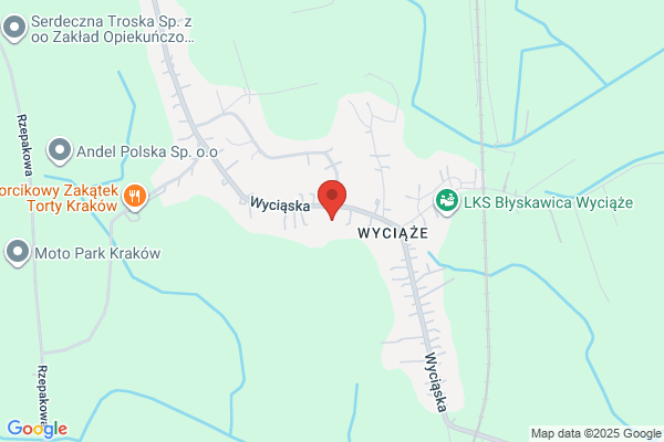 Cyganik. Serwis samochodowy, diagnostyka komputerowa