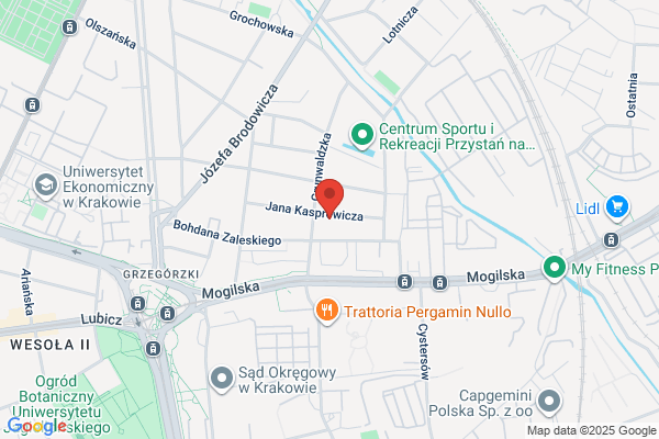 Leon. Autoserwis. Amortyzatory i zawieszenia